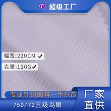 75D/72F三级鸟眼布面料批发 春夏运动服篮球服汽车靠垫网布厂家