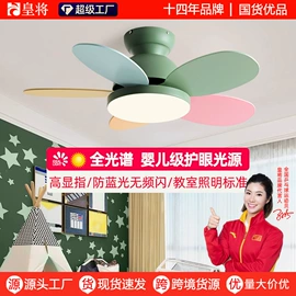 风扇灯;电风扇;吊扇