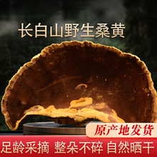 �L��ɽҰ��ɣ�S5�˳����`֥Ƭ��Ş�������ɣ�S�Ʊ��`֥���ӷ�