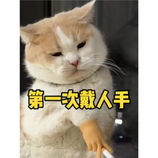 Cat Gloves Funny Gesture Cat Gloves Cat Petting Finger Soothing Cat Teasing Tool