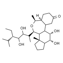 H7900 28-��̦ܿ�؃��� �p���|�z ���_�lƱ �|�����C ���R��
