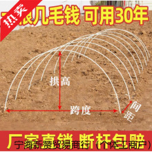 wSUr֧ΗlˇعμܱůС߲﹭wS