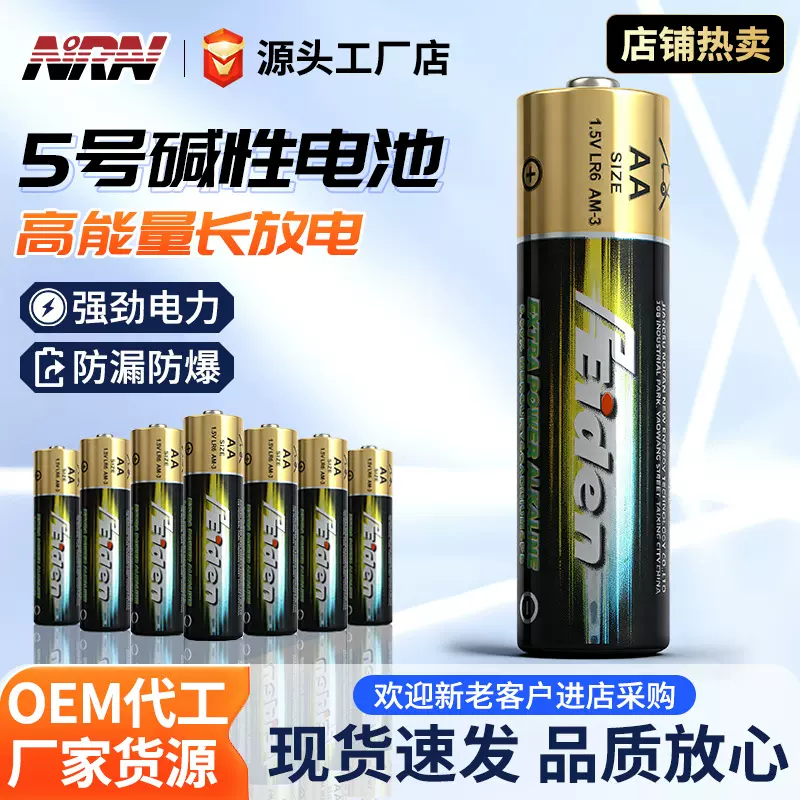 REIDEN诺雷5号1.5V碱性电池家用电动玩具遥控器干电池5号LR6碱性