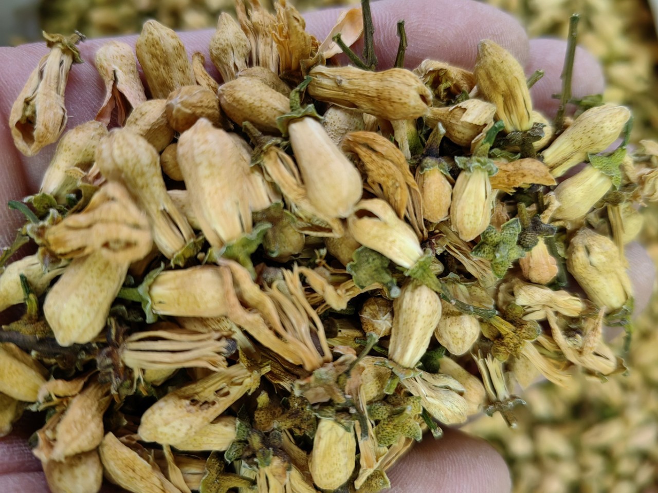 玳玳花 中药材玳玳花 代代花柚子花 干花源头现货量大从优-阿里巴巴