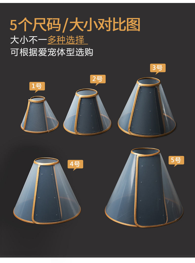 87f62305-6d39-462c-ab1c-62d40e71121b.jpe