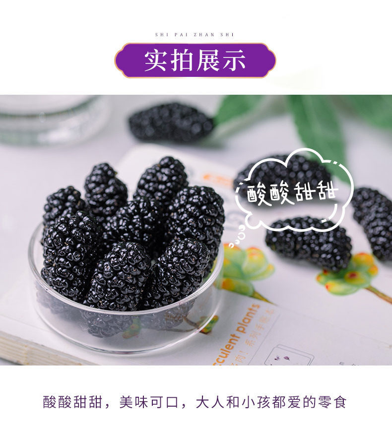 Xinjiang Dried Black Mulberry Sang Shen Zi Whole Berries for Tea Wine and Snacking 500g quality and texture