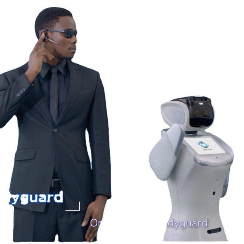 Robot Comercial Inteligente de Video y Acompañamiento Potencia 300W para Negocios image 6