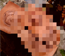 ӡ�ڰ��L�p�R܇݆���wƤ���ģ�� ���w��ģ������������ģ��