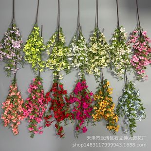 �¿������� ���滨����ǧ������@��Y���b������߼ٻ����l