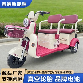 电动三轮车;电动代步车;其他电动车