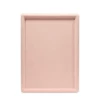 Fuchsia, 33x