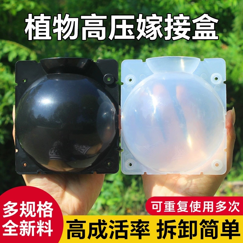 Коробка для размножения растений высокого давления корневая дерево высотное штампованное устройство для размножения шариков для садоводства