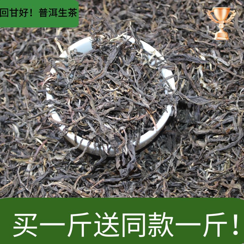 云南普洱茶春茶源头工厂景迈山生茶散茶批发加工设计茶叶现货批发