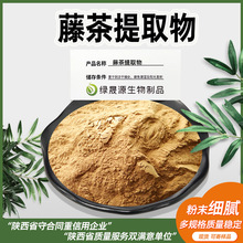 藤茶提取物 10:1/30:1/50:1规格 易水溶显齿蛇葡萄叶原料粉 现货