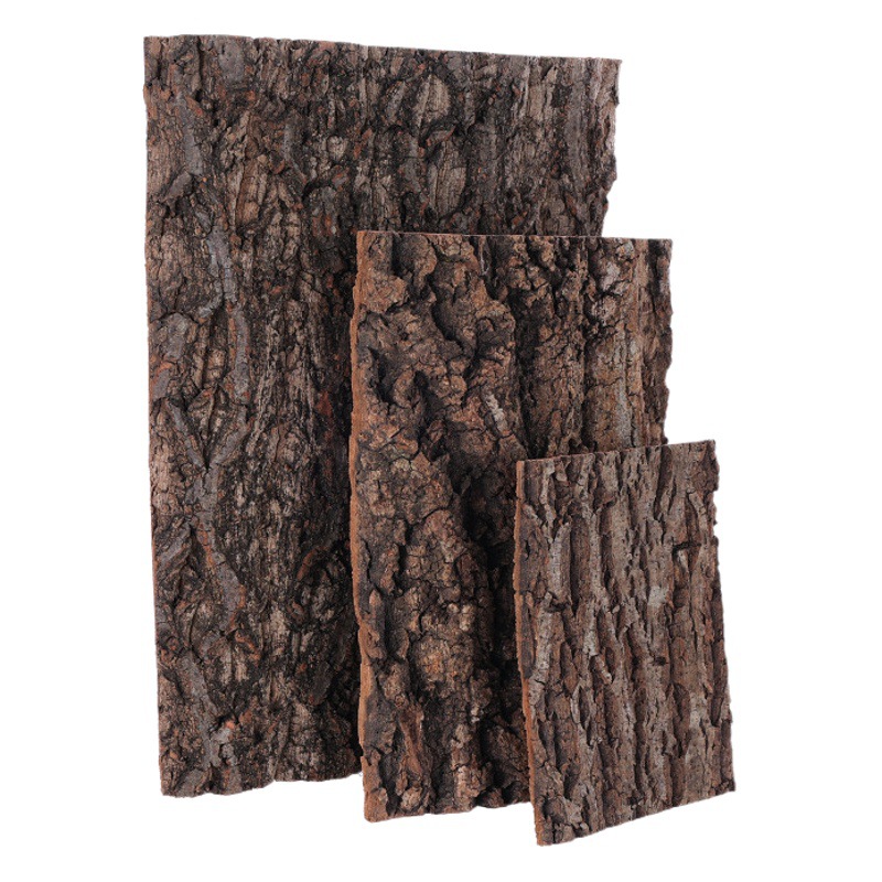 Natural Champagne Bark Fish Tank Landscape Rainforest Tank Background Decoration Bark Climbing Pet Box Background Board Cork Bark