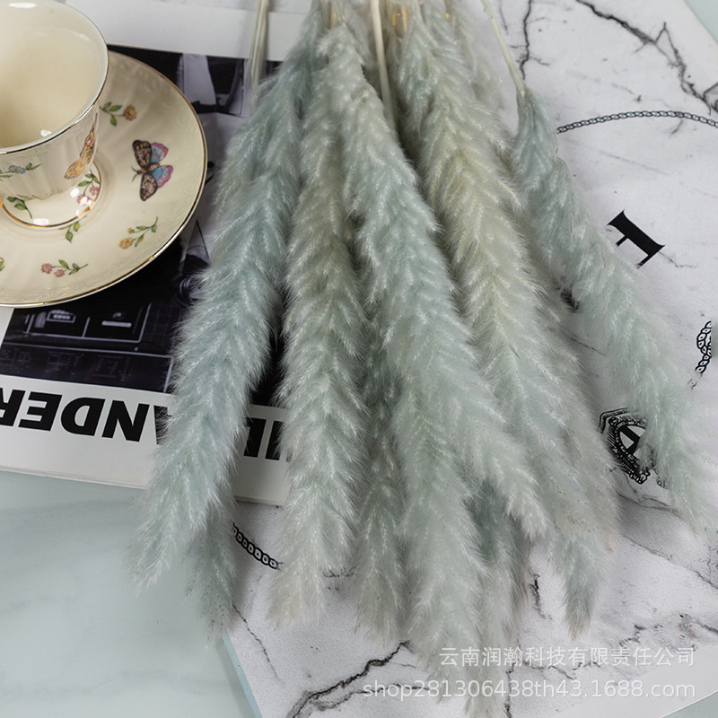 라이트 그레이 1