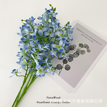 Ʒ�|ʯ���m �����ʢ��������m ��ˇ�OӋ �������M��diy