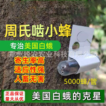 �����׶���� ���χ�С��5000�^����/���씳���x���Ϻ�������