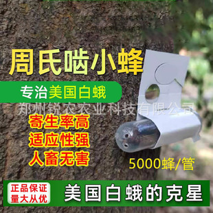 ���χ�С���xӼ�씳���x���w���������׶�5000�^/�� �J�r��