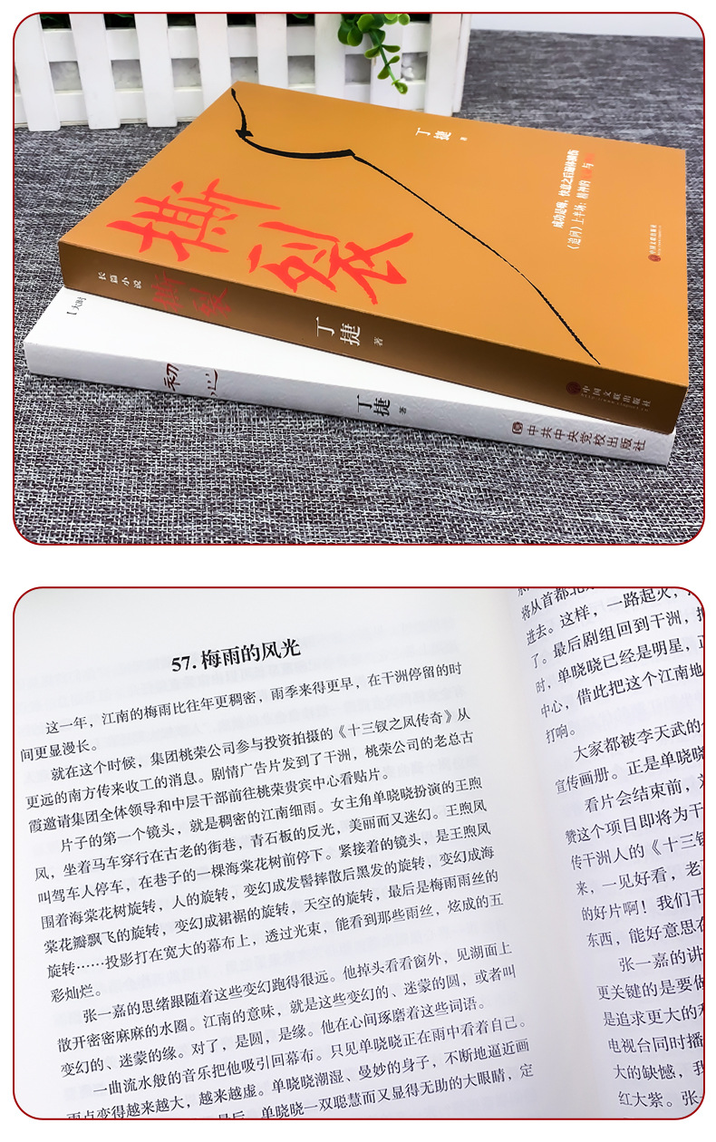 初心 撕裂 丁捷著《追问》作者又一力作 当代政论散文集-阿里巴巴