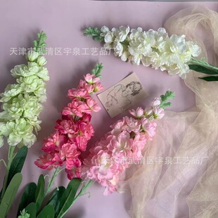 ���滨���w�����_�m��c�ӼҾƵ�Ӱ巿��ˇܛ�b���üٻ����l����