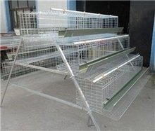 ���|���u�\�Bֳ�����û\�u�\���A��ʽ���u�\�B�u�O���Bֳ�u�\ȫ��