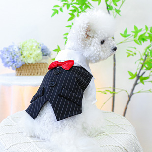 PETCIRCLE���·� �����·�����؈؈���b����I�Y��β��-�ڰ�