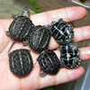 Tortoise living thing Mexican turtle lovers a pair Pets Grass Outside the pond Sham Watch longevity Mexican turtle
