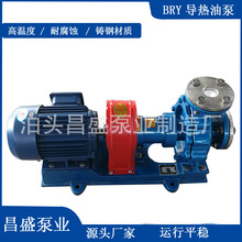 BRY40-25-160高溫導熱油泵風冷式導熱油泵鍋爐循環泵熱漿泵廠家