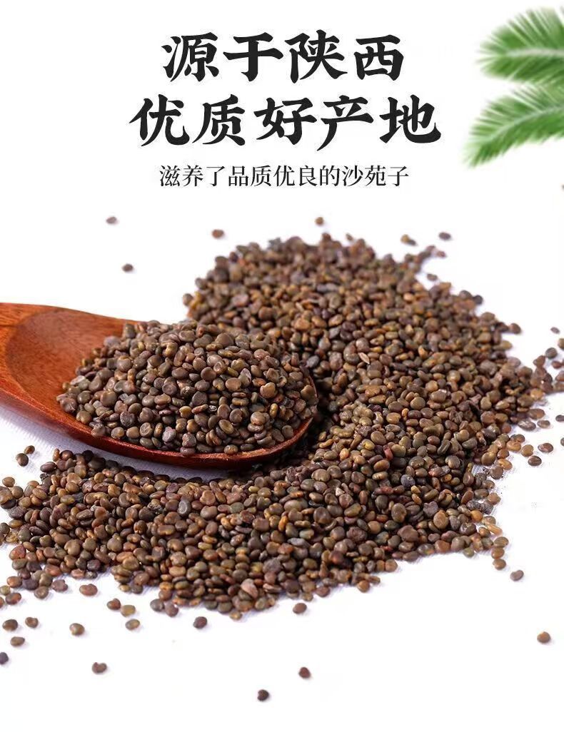 Sha Yuan Zi (Astragalus complanatus) — Dried Food-Herb Seeds for Tea & Daily Nourishment overview