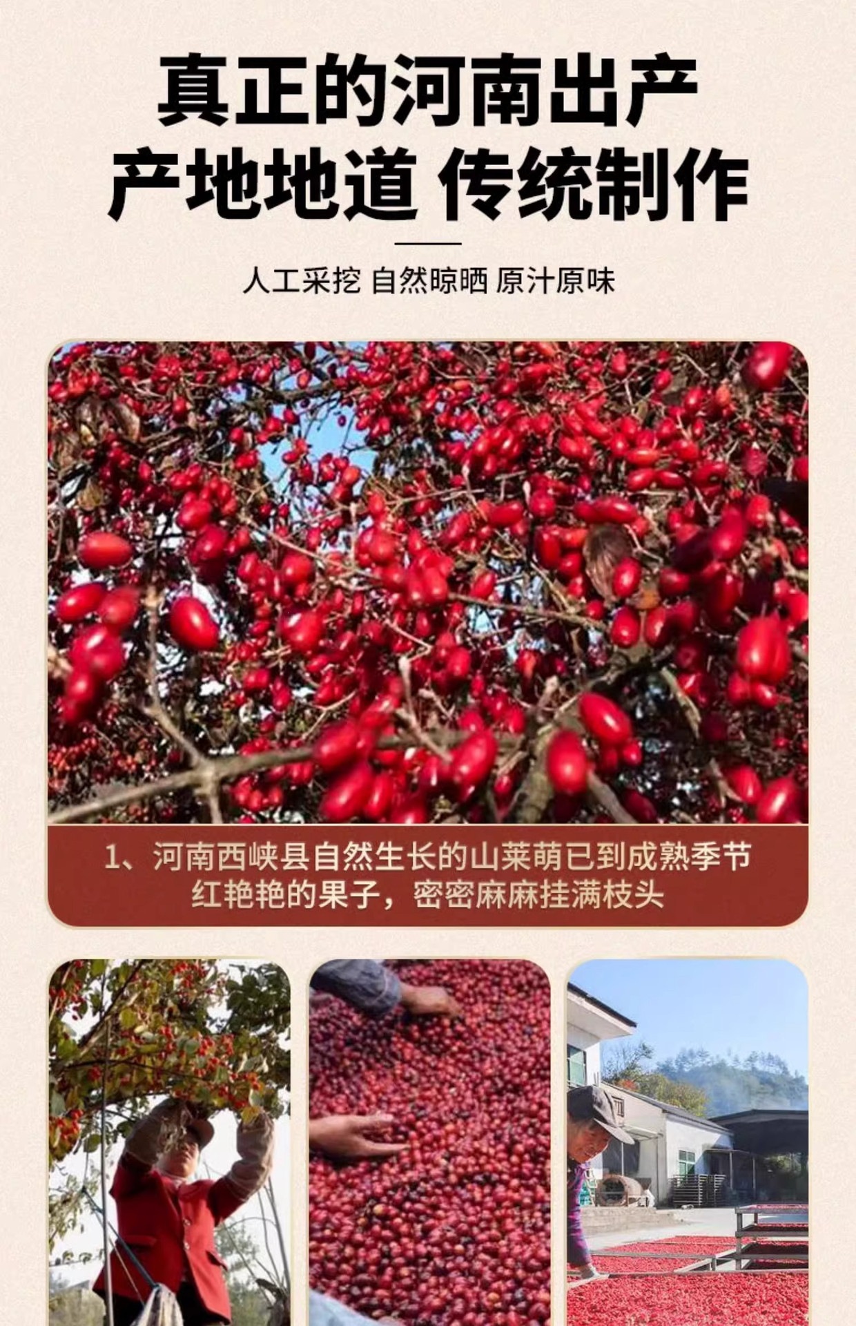 Dried Cornus Fruit Shan Zhu Yu 500g Bulk Herb for Tea Wine Infusion and Decoction key features