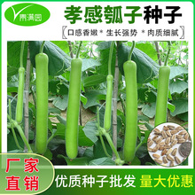 ���lТ����ӹ��������L�ϷN���＾�ѹϲ˺��J��ͥԺ���ٲ˷N��