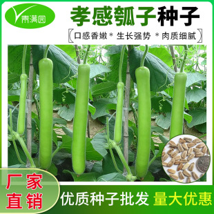 ���lТ����ӹ��������L�ϷN���＾�ѹϲ˺��J��ͥԺ���ٲ˷N��