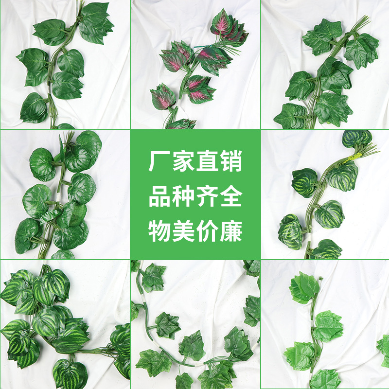 Venta al por mayor de simulación de hoja de uva escalada Tigre ratán Gecko hoja de simulación de plástico planta verde rábano hoja falsa flor decorativa vid