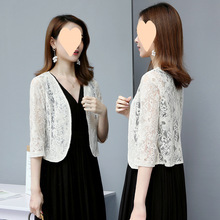 ���·�Ů�¿��ļ�С���������ٴ���{��������������ȹ�����