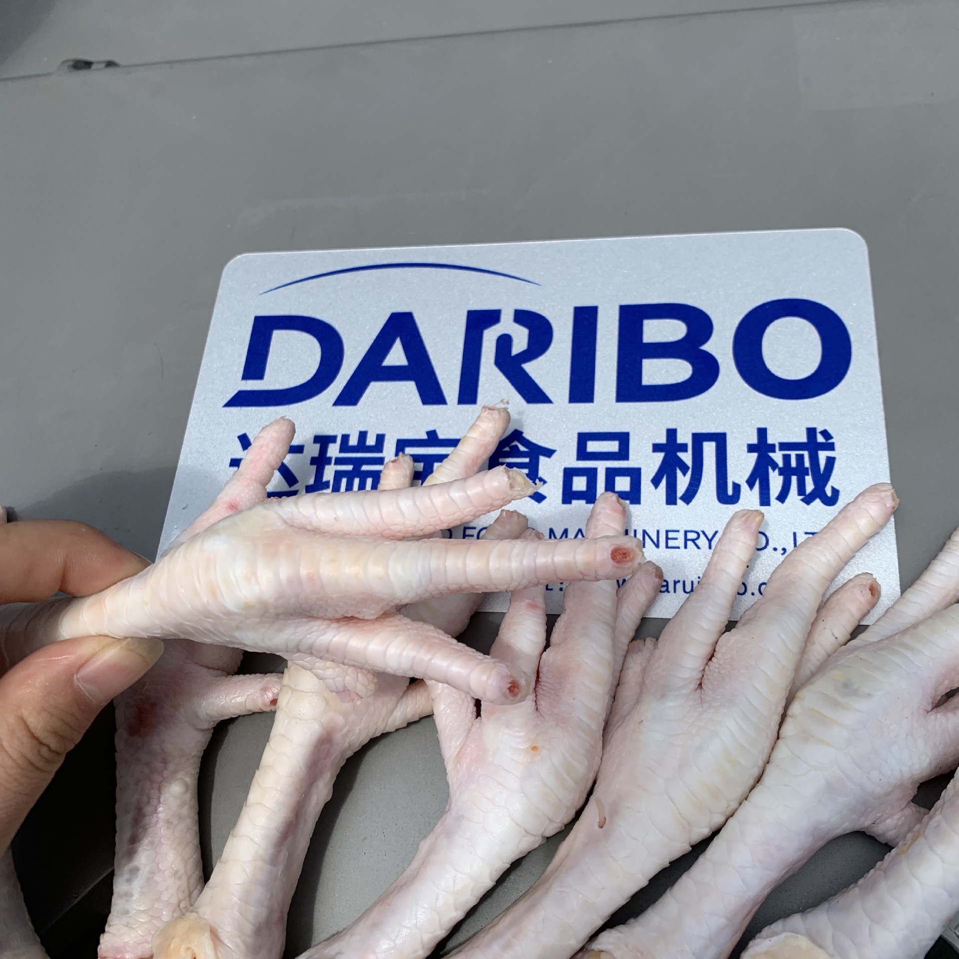 *商用大型鸡爪去指甲机 自动剪鸡指尖设备 不锈钢泡椒鸡爪去趾机