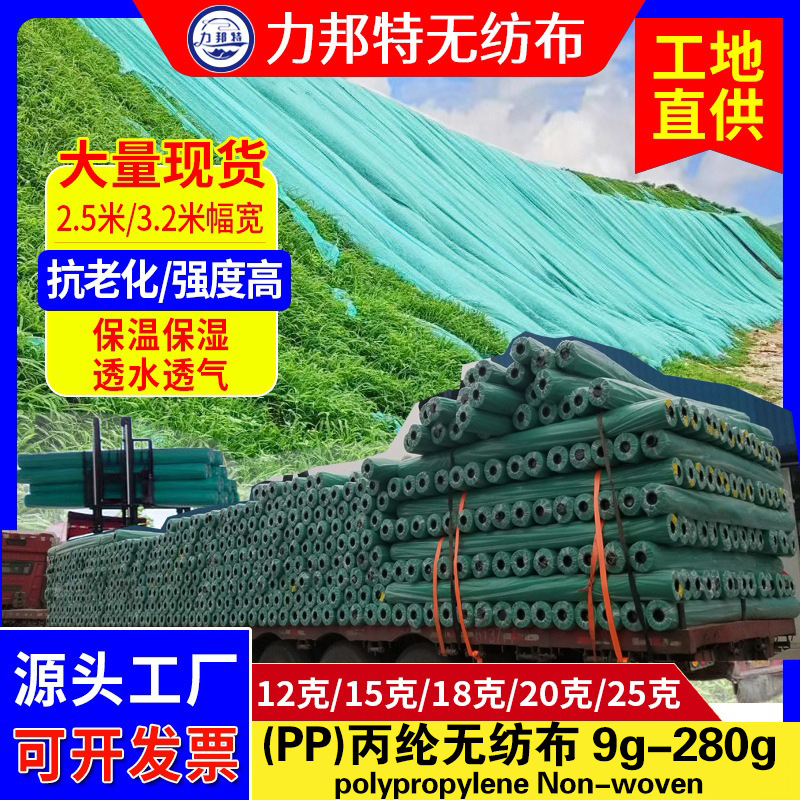 厂家现货供应草坪农用边坡绿化无纺布 白色绿色盖土防尘布