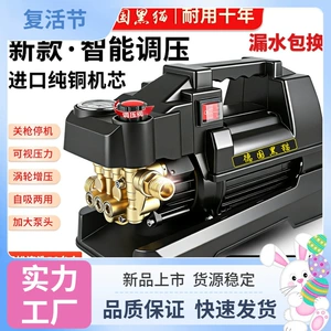German Black Cat High-Pressure Car Washer for Home Use, 220V High-Power Cleaning Machine, Car Washing Brush Pump, Floor Cleaning Waterman