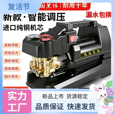 German Black Cat High-Pressure Car Car washing machine