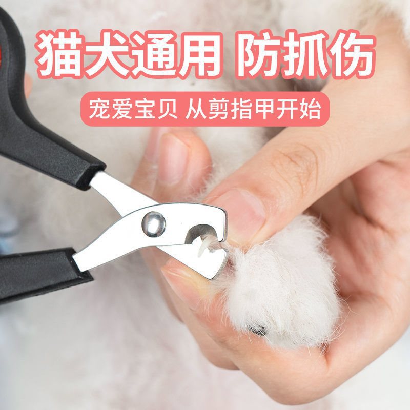 宠物狗狗指甲剪狗狗爪子清洁中小型犬猫咪剪指甲用品一件批发