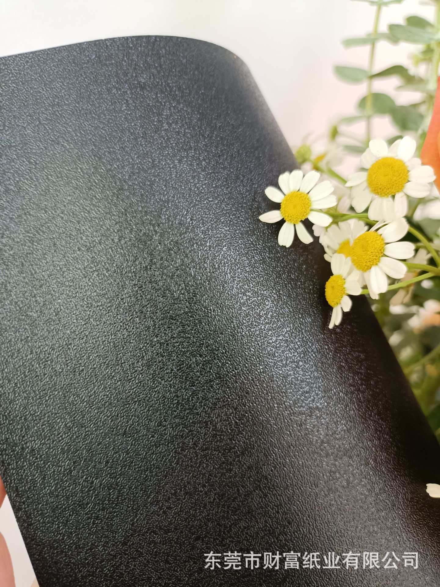 d363cb07167d5bde02f2633233ef87