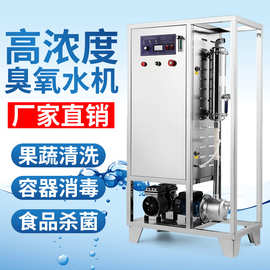 心宇水消毒臭氧水机批发高浓度臭氧水生成器