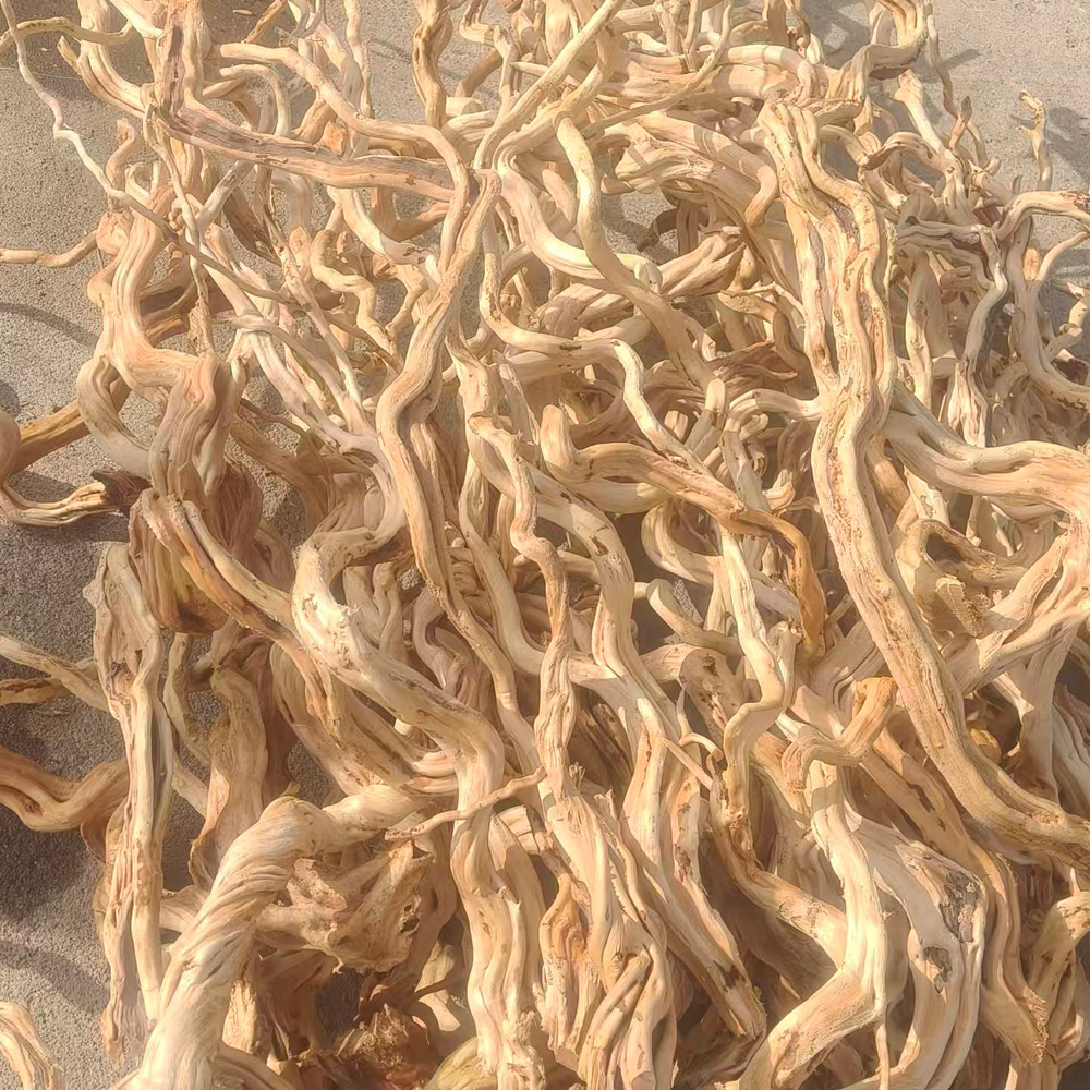 Новые корневые ветви скалы