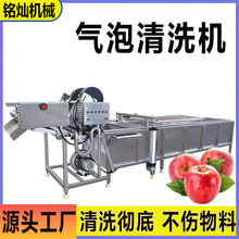商用果蔬清洗设备 气泡清洗 不伤果实 苹果全自动气泡清洗机
