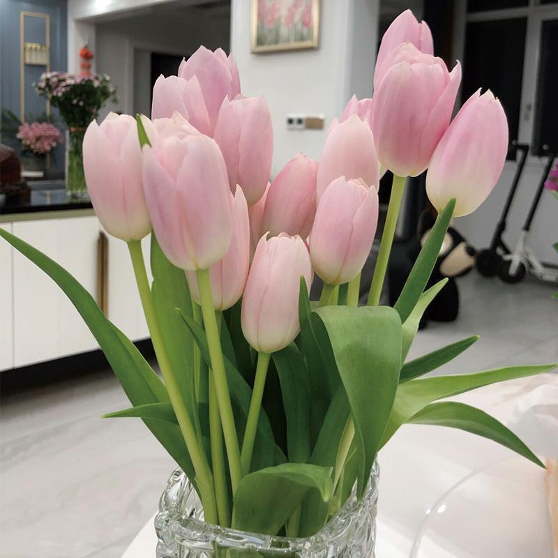 Imported Hydroponic Tulip Bulbs with Buds 5 Degree Balls Blooming in All Seasons Balcony Flower Potted Cold-Resistant Plant Florals