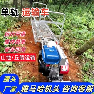 Mountain Rail Transporter Agricultural Parthenocissus Transporter Mountain Orchard Automatic Monorail Single Track Train