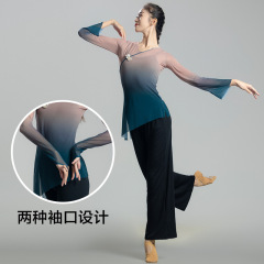 古典的なダンス服の女性のグラデーションのふわふわしたガーゼの服の中国のダンスの練習の功服の女性の韻の仙気の上着は古風を演出します。