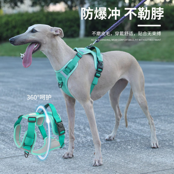 New Cross-border Large Dog Chest Strap Anti-break Explosion-proof Vest Breathable Pet Products Wholesale