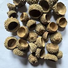 1kgñɽɹɭϵҾbƷֹdiyĔz