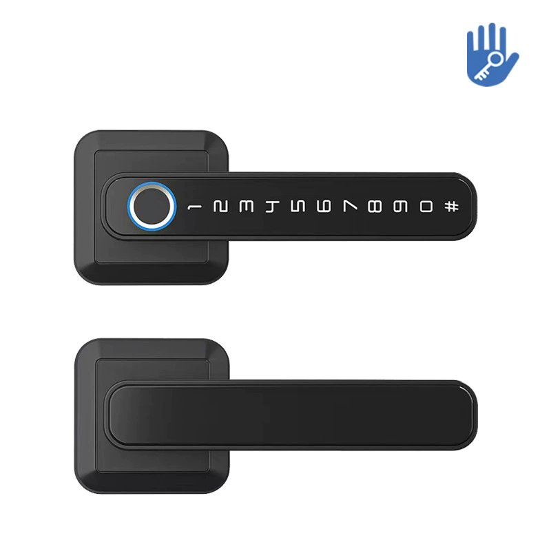 New home anti -theft door fingerprint lock electric graffiti indoor bedroom handle password lock Bluetooth through Bluetooth